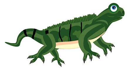 Image showing Pangolin iguana on white background