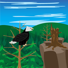 Image showing Bird eagle sits on tree