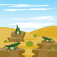 Image showing Lizard iguana in desert