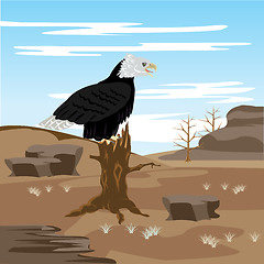 Image showing Lifeless desert and eagle on tree