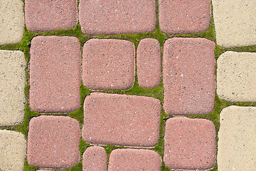 Image showing Sidewalk pavers around sprouted moss