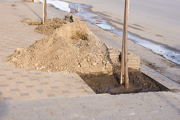 Image showing seedlings of trees along the road for landscaping