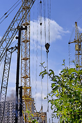 Image showing Mechanism scores piles at construction site