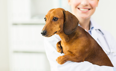 Image showing close up of vet with dachshund dog at clinic