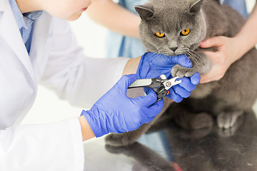 Image showing close up of vet with clipper cutting cat nail