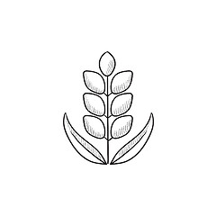 Image showing Wheat sketch icon.