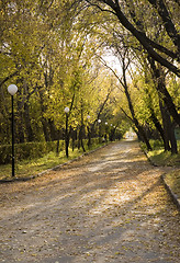 Image showing autumn park