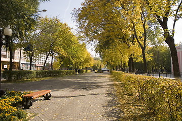 Image showing autumn street