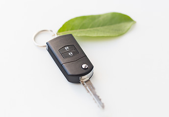 Image showing close up of car key and green leaf