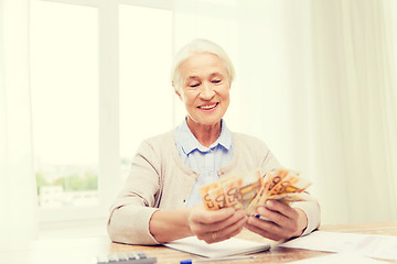 Image showing senior woman with money and papers at home