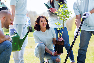Image showing group of volunteers planting tree in park