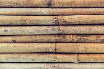 Image showing bamboo cane wall texture