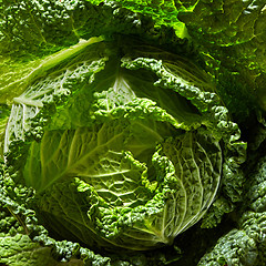 Image showing Savoy cabbage head