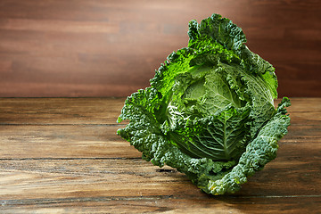 Image showing Single head of Savoy cabbage