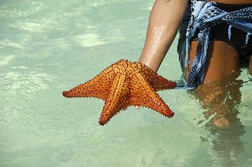 Image showing Woman and red starfish