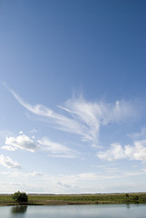 Image showing sky and tree and horizon