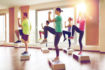 Image showing group of people working out with steppers in gym