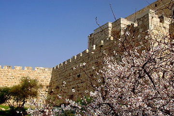 Image showing Spring In Jerusalem