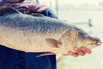 Image showing asian fisherman holding raw fish on berth