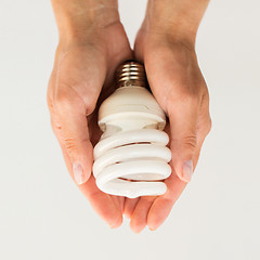 Image showing close up of hands holding energy saving lightbulb