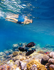 Image showing Underwater shoot of a young boy snorkeling in red sea