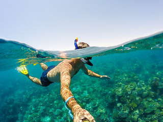 Image showing Snorkel swims in shallow water, Red Sea, Egypt