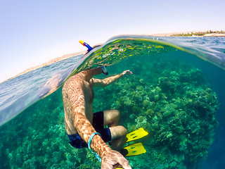 Image showing Snorkel swims in shallow water, Red Sea, Egypt