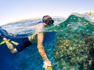 Image showing Snorkel swims in shallow water, Red Sea, Egypt