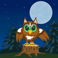 Image showing Owl in the night