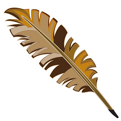 Image showing Varicoloured feather