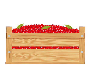 Image showing Box with red berry