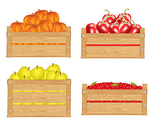 Image showing Fruits in box