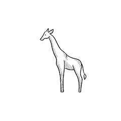Image showing Giraffe sketch icon.