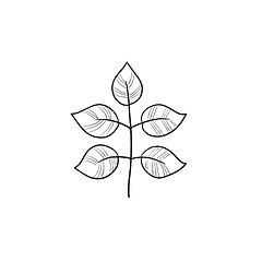 Image showing Branch with leaves sketch icon.