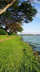 Image showing Kranji reservoir in Singapore
