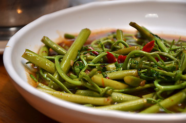 Image showing Stir fried Water Mimosa with Chillis