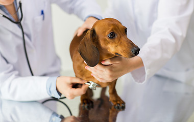 Image showing close up of vet with stethoscope and dog at clinic