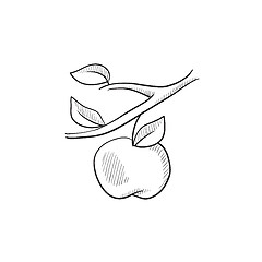 Image showing Apple harvest sketch icon.