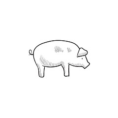 Image showing Pig sketch icon.