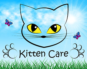 Image showing Kitten Care Means Look After And Cat