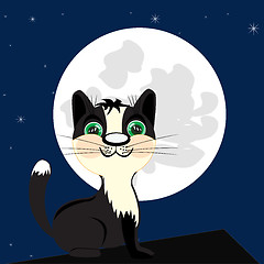 Image showing Cat on roof in the night