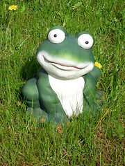 Image showing Frog