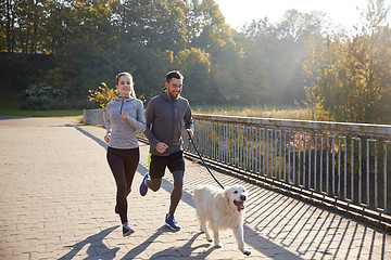 Image showing happy couple with dog running outdoors