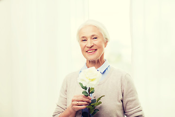 Image showing happy senior woman with rose flower at home