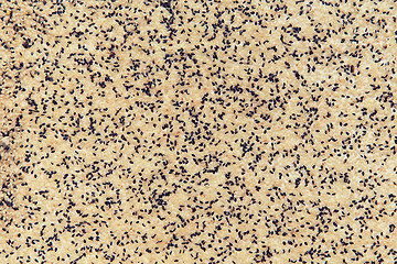 Image showing sesame seeds texture