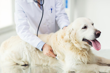 Image showing close up of vet with stethoscope and dog at clinic