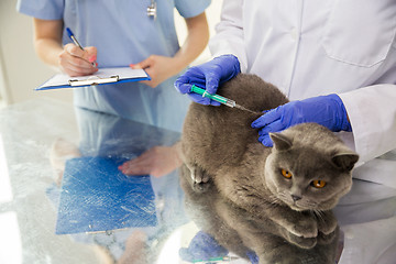 Image showing close up of vet making vaccine to cat at clinic