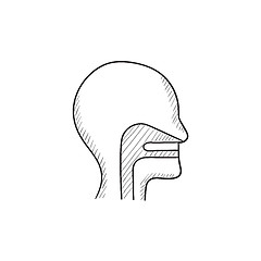 Image showing Human head with ear, nose, throat sketch icon.