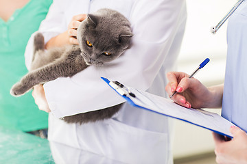 Image showing close up of vet with cat and clipboard at clinic