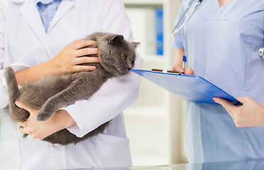 Image showing close up of vet with cat and clipboard at clinic